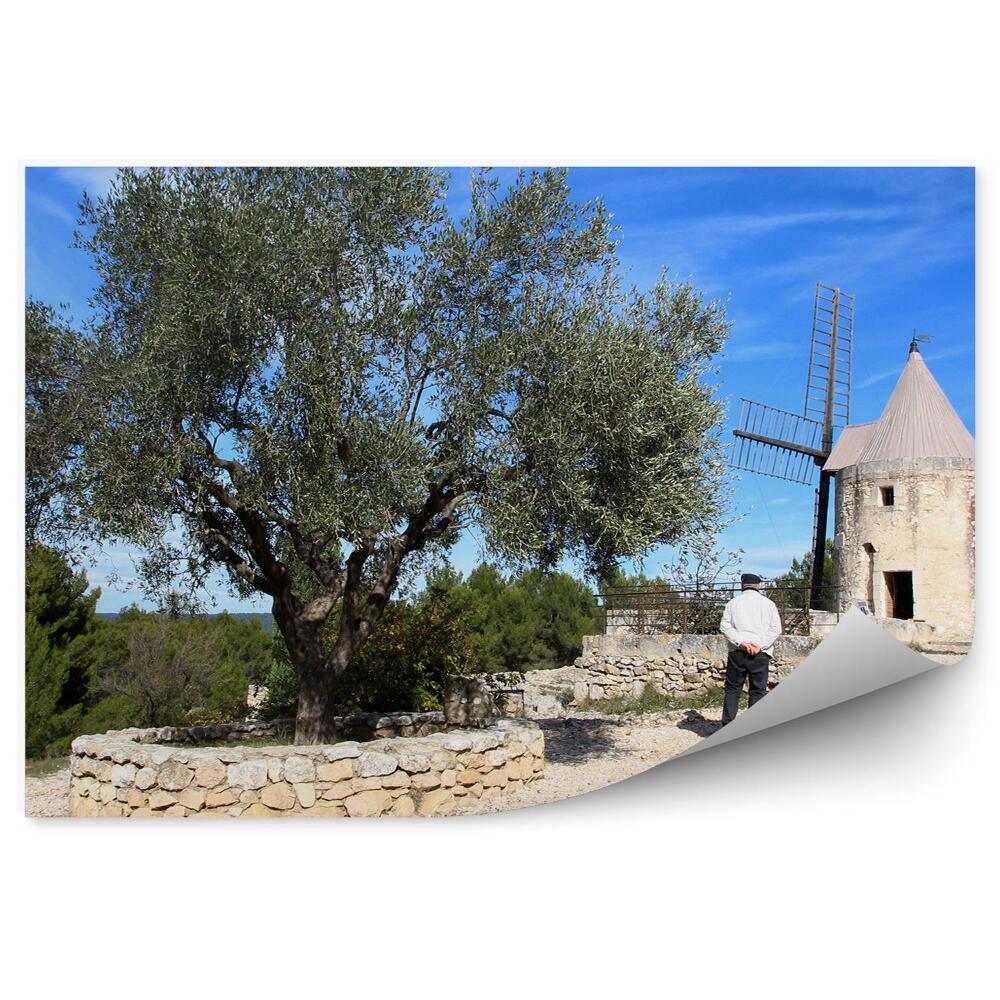 Fotótapéta szélmalom Provence-i emberek sziklák fák égbolt Franciaország