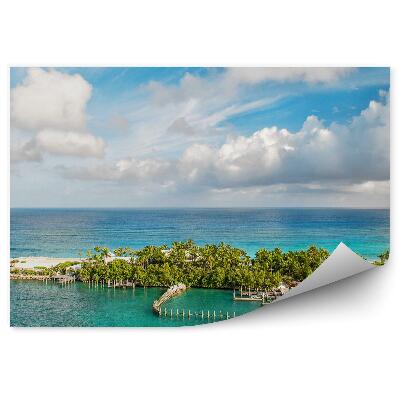 Modern fotótapéta Bahama-szigeteki táj pálmafák strand óceán égbolt felhők