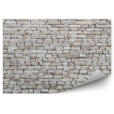 Fotótapéta Kőpala fal