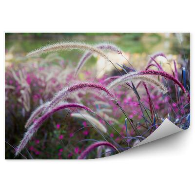 Poszter tapéta Vadfüves rét