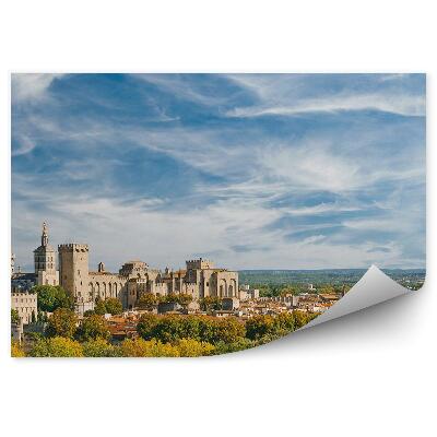 Poszter tapéta Panoráma óváros pápai palota kilátás fák növények ég felhők