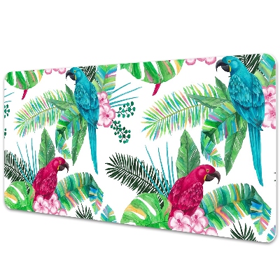 Irodai asztal alátét Papagájok a falfestményen