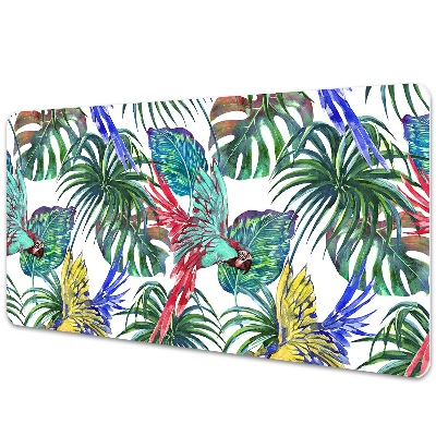 Irodai asztal alátét Színes papagájok