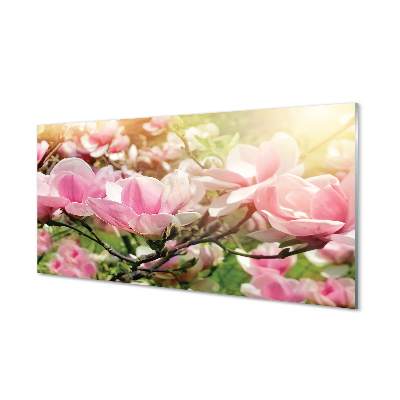 Magnólia virágok háttér Üvegkép