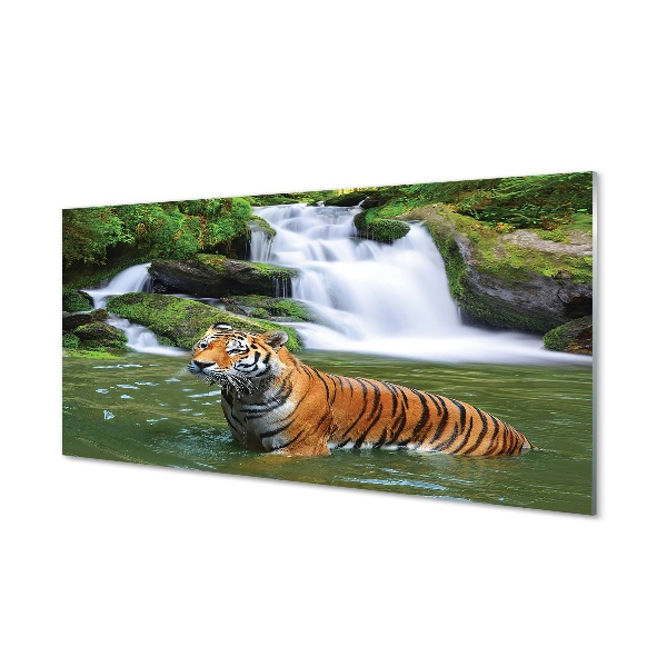 Tigris fürdőzés a vízesés vízben Egyedi üvegkép
