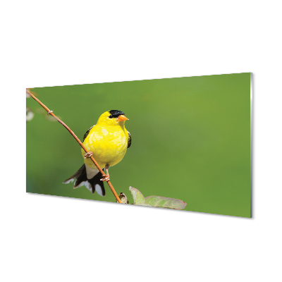 Sárga papagáj egy ágon Üvegkép nyomtatás