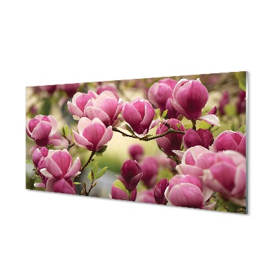 Rózsaszín magnólia virágok a fán Egyedi üvegkép