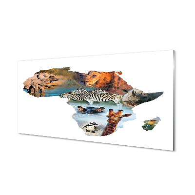 Afrika vadon élő állatai Üvegkép nyomtatás