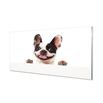 Francia bulldog kutya Üvegkép nyomtatás