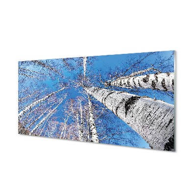 Nyírfák égbolt kilátás Egyedi üvegkép