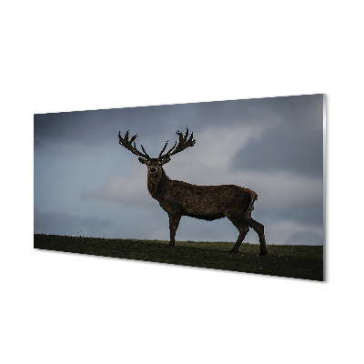 Szarvas agancs köd Egyedi üvegkép