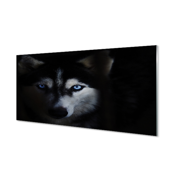 Husky kutya kék szemekkel Üvegkép falra