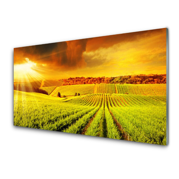 Üvegkép Field Twilight Panoráma