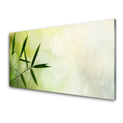 Üvegkép Levelek Eső