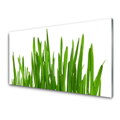 Egyedi Üvegkép Fű A Falon