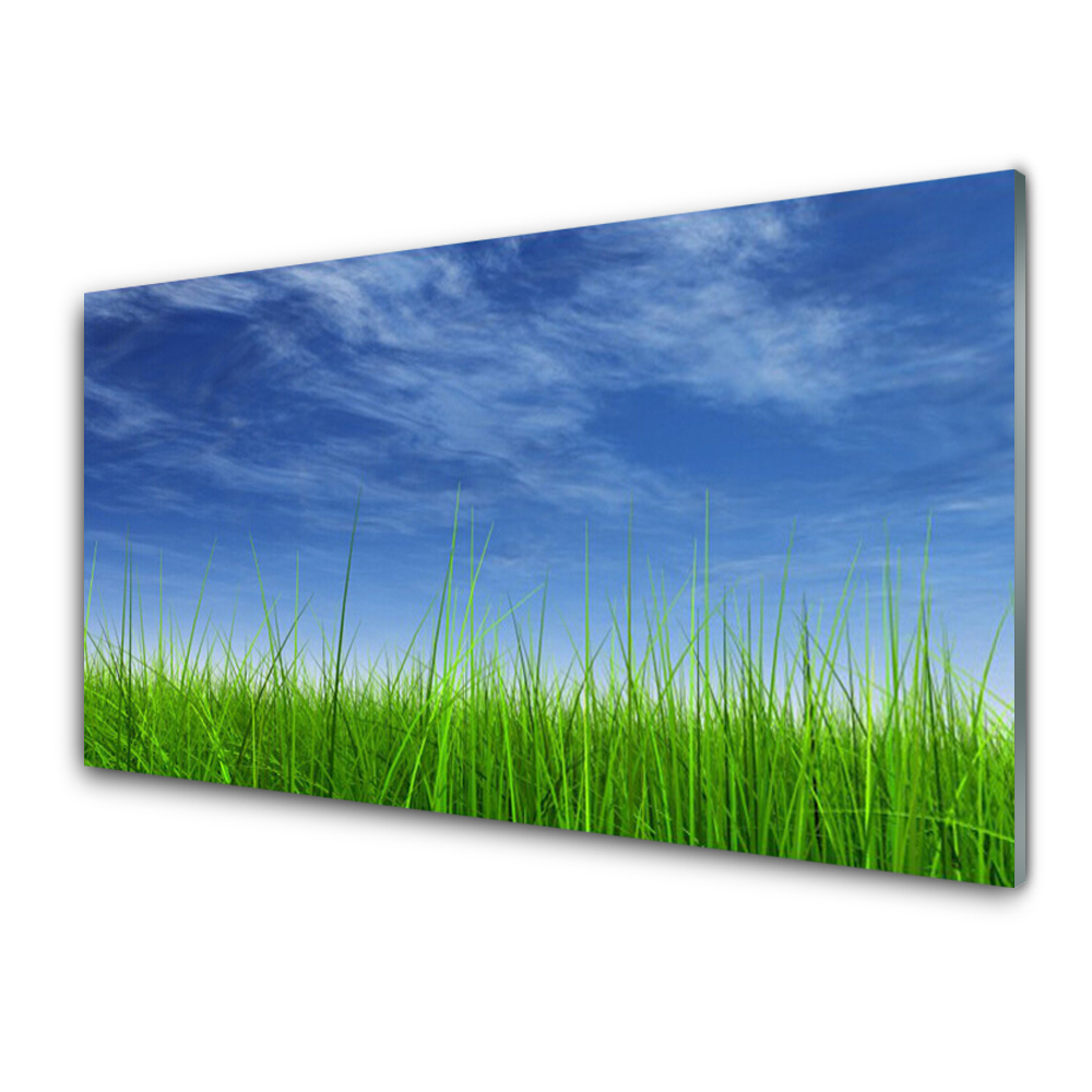 Egyedi Üvegkép Sky Grass Plant
