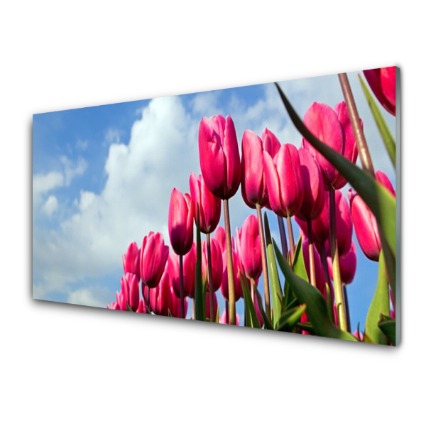 Üvegkép Nyomtatás Tulipánok