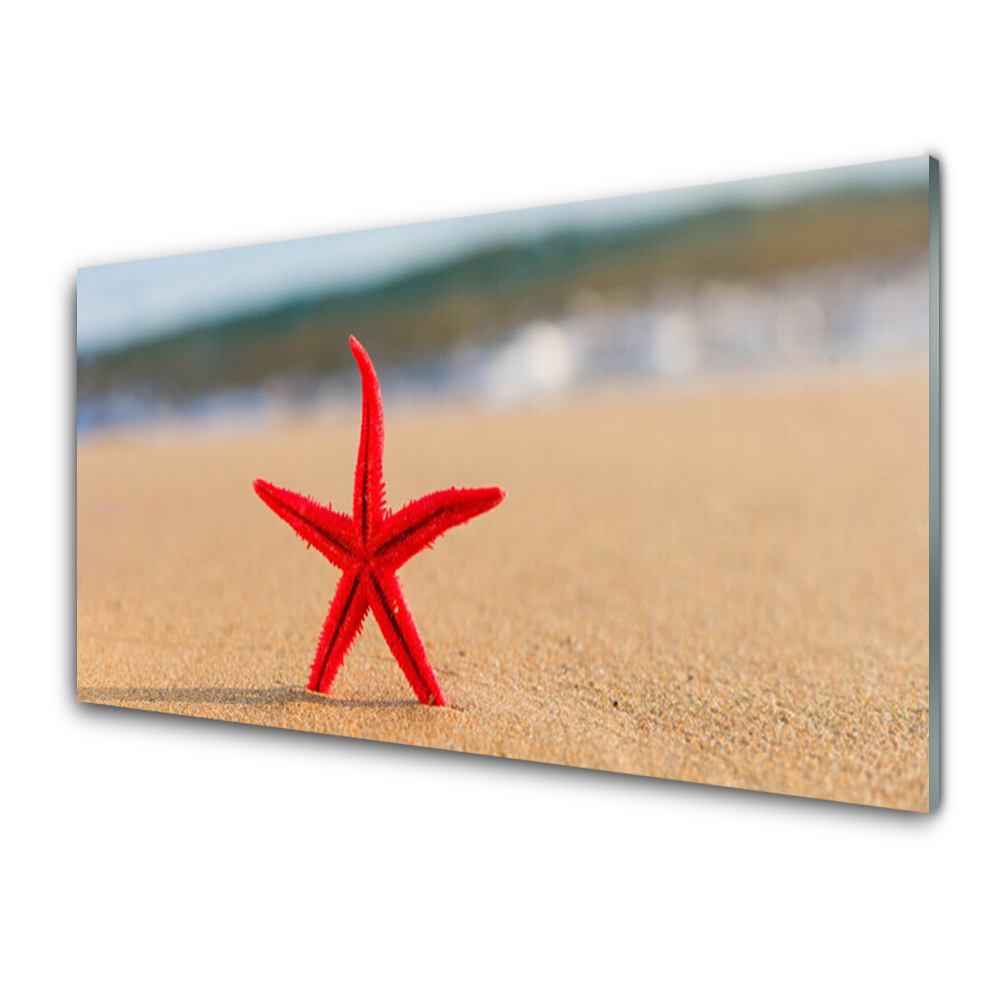 Üvegfotó Beach Starfish Water
