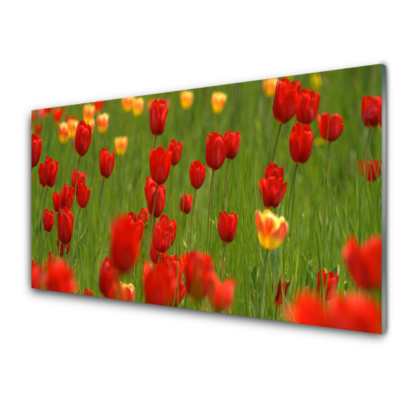 Üvegkép Tulipán réti növények