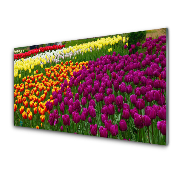 Üvegkép Nyomtatás Tulipán virágok