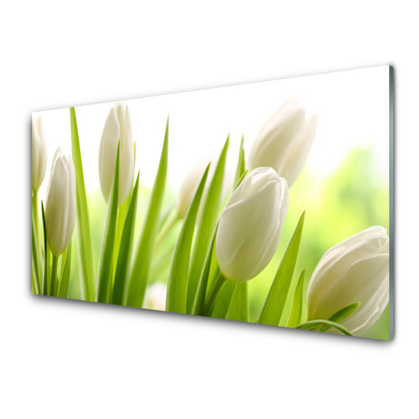 Üvegkép Nyomtatás Fehér tulipán csokor