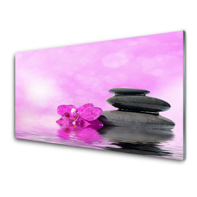 Üvegkép Rózsaszín orchidea kövek háttér