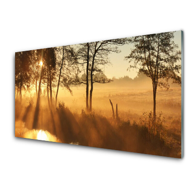 Modern Üvegkép Rét fákkal