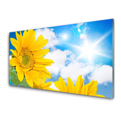 Üvegkép Közelkép a sárga virágok égbolt