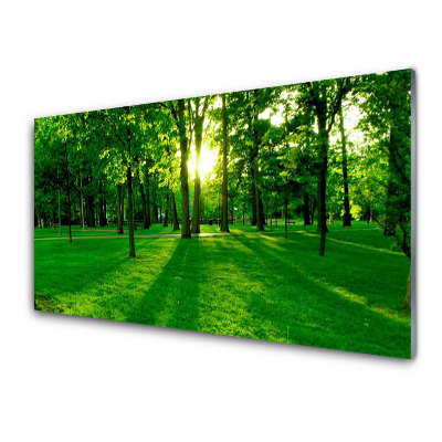 Egyedi Üvegkép Green Park kilátás