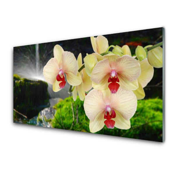 Üvegkép Nyomtatás Orchidea a háttérben egy vízesés