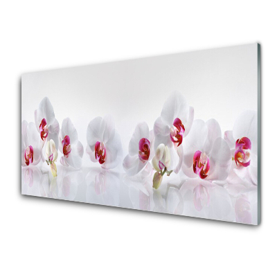Üvegkép Nyomtatás Fehér orchideák