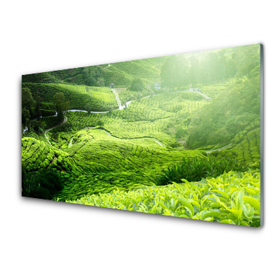 Modern Üvegkép Tea mezők