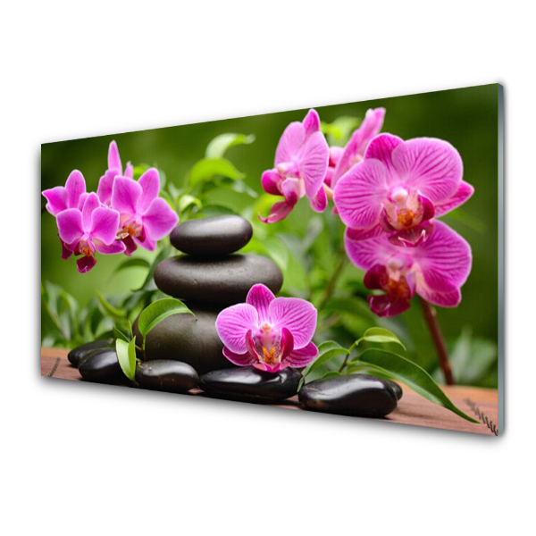 Modern Üvegkép Halmozott kövek orchideák