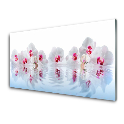 Egyedi Üvegkép Fehér orchidea virágok és a víz