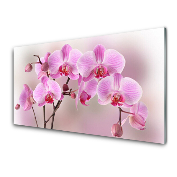 Üvegfotó rózsaszín orchidea orchidea