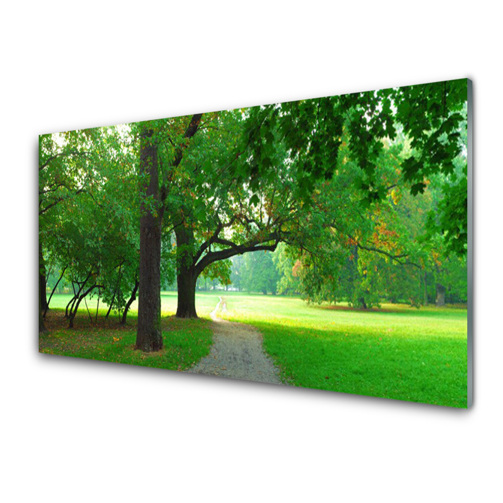 Üvegkép Út a parkban