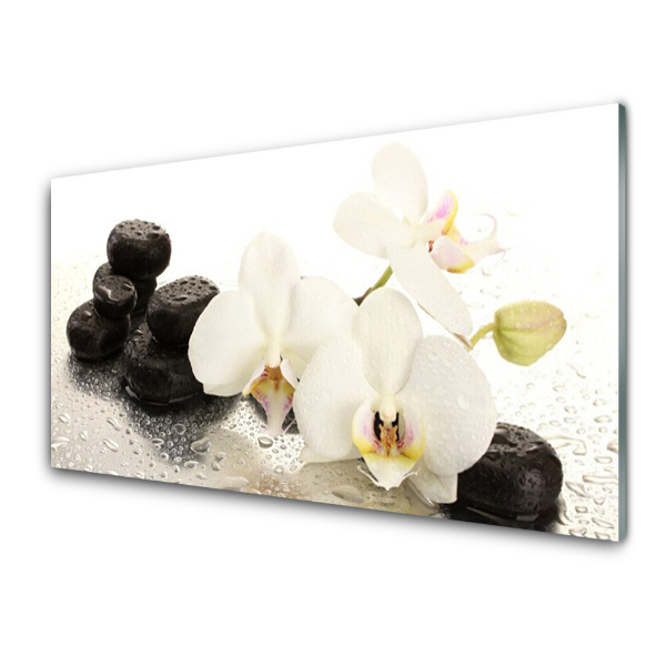 Üvegkép Falra Orchidea fekete kövek víz