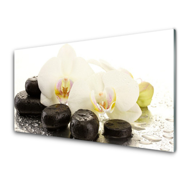 Üvegkép Falra Orchidea zen kövek