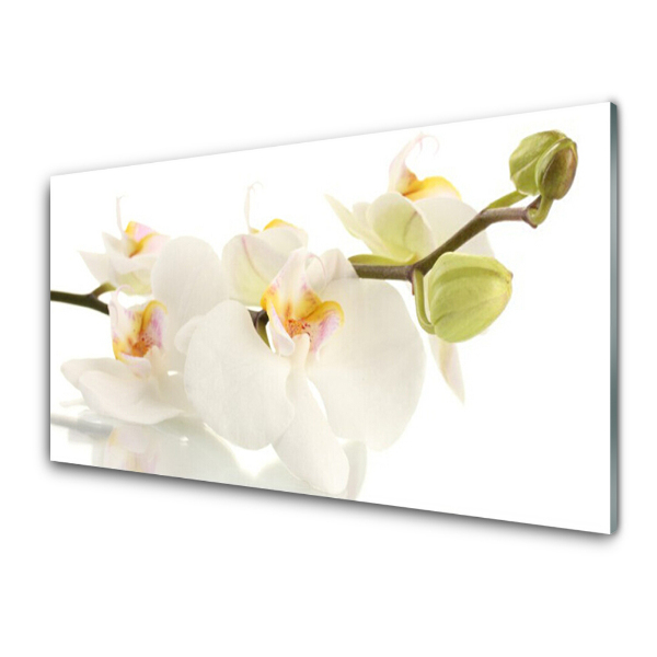Egyedi Üvegkép Orchideák a száron