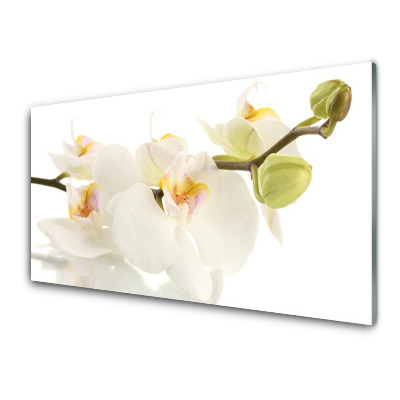 Egyedi Üvegkép Orchideák a száron