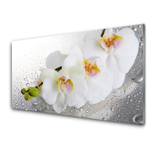 Üvegkép Nyomtatás Orchideák a vízcseppeken
