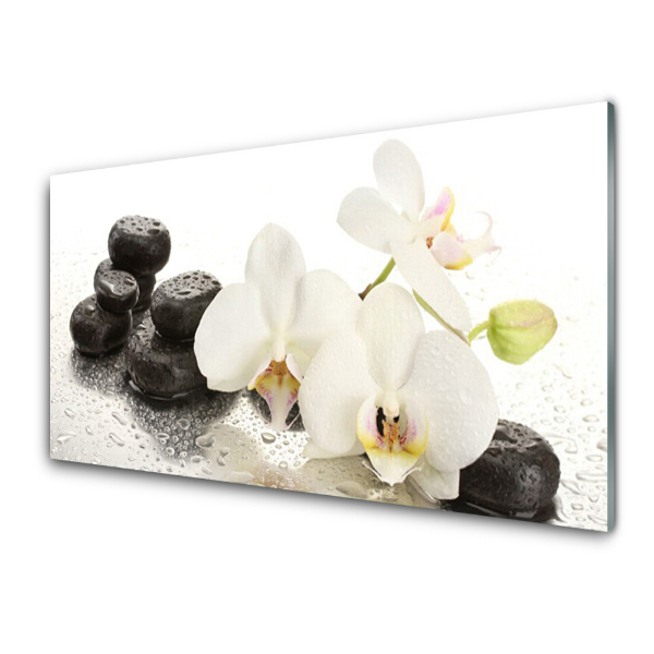Üvegfotó Fekete orchidea kövek
