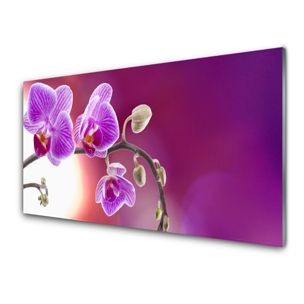 Üvegkép Orchideák rózsaszín alapon