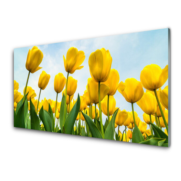 Üvegfotó Sárga tulipán virágok