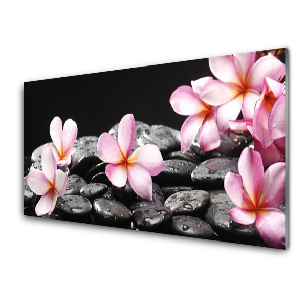 Üvegfotó Plumeria Flowers Stones
