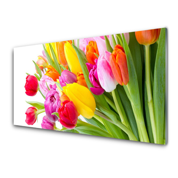 Üvegfotó Színes tulipán csokor