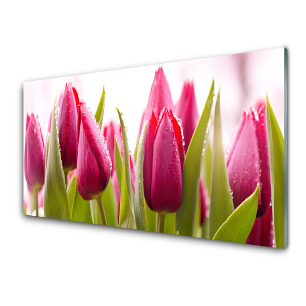 Üvegkép Falra Tulipán és harmat