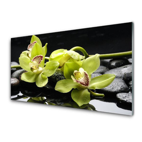 Egyedi Üvegkép Virág Orchidea Stones víz
