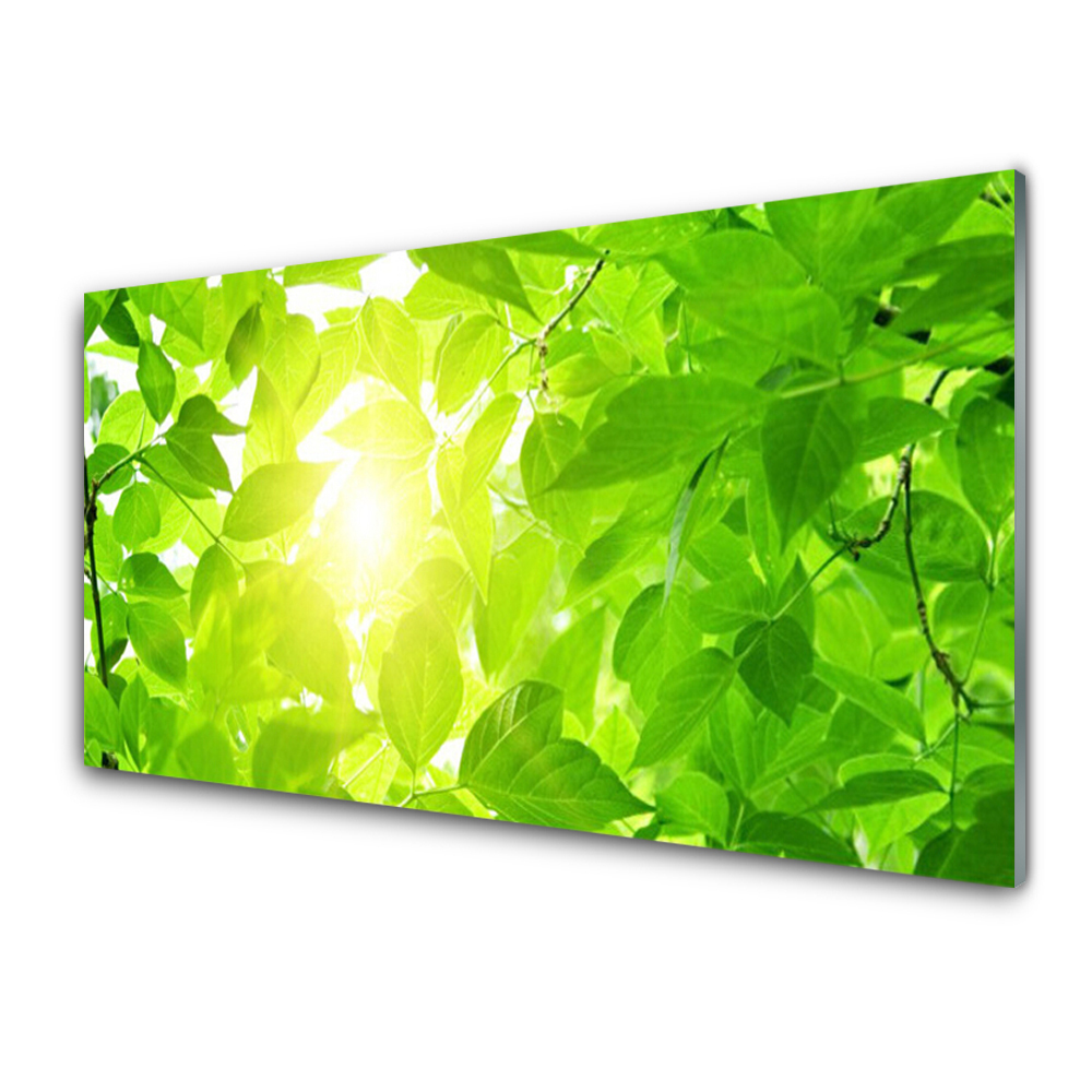 Üvegkép Nyomtatás Levelek Nature Sun Plant
