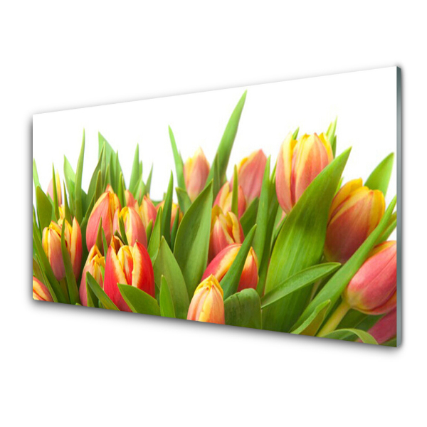 Egyedi Üvegkép Csokor piros tulipán
